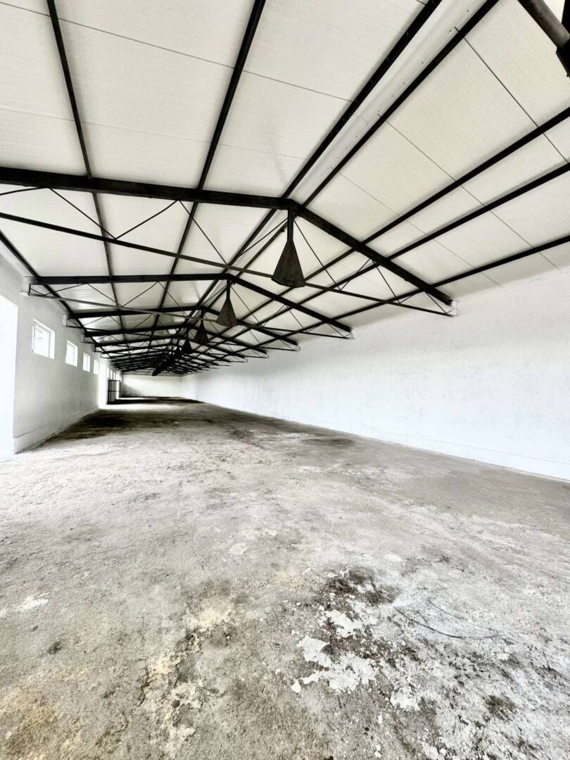 viber_izobrazhenie_2025-04-15_10-48-10-818