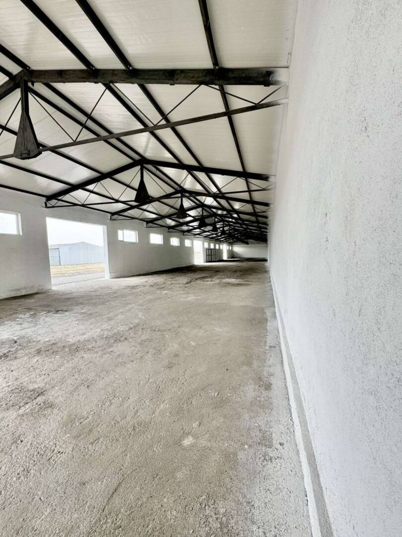 viber_izobrazhenie_2025-04-15_10-48-11-214