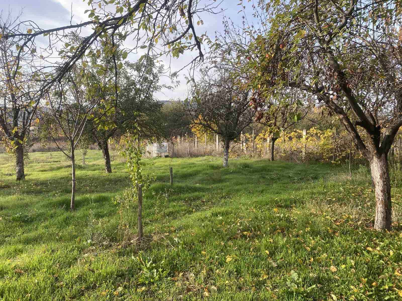 viber_izobrazhenie_2025-11-17_11-51-47-147