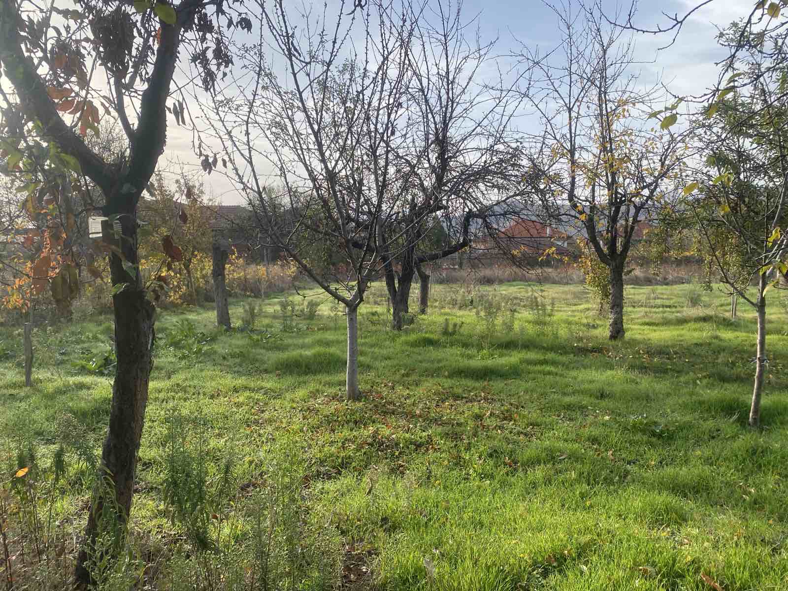 viber_izobrazhenie_2025-11-17_11-51-47-906