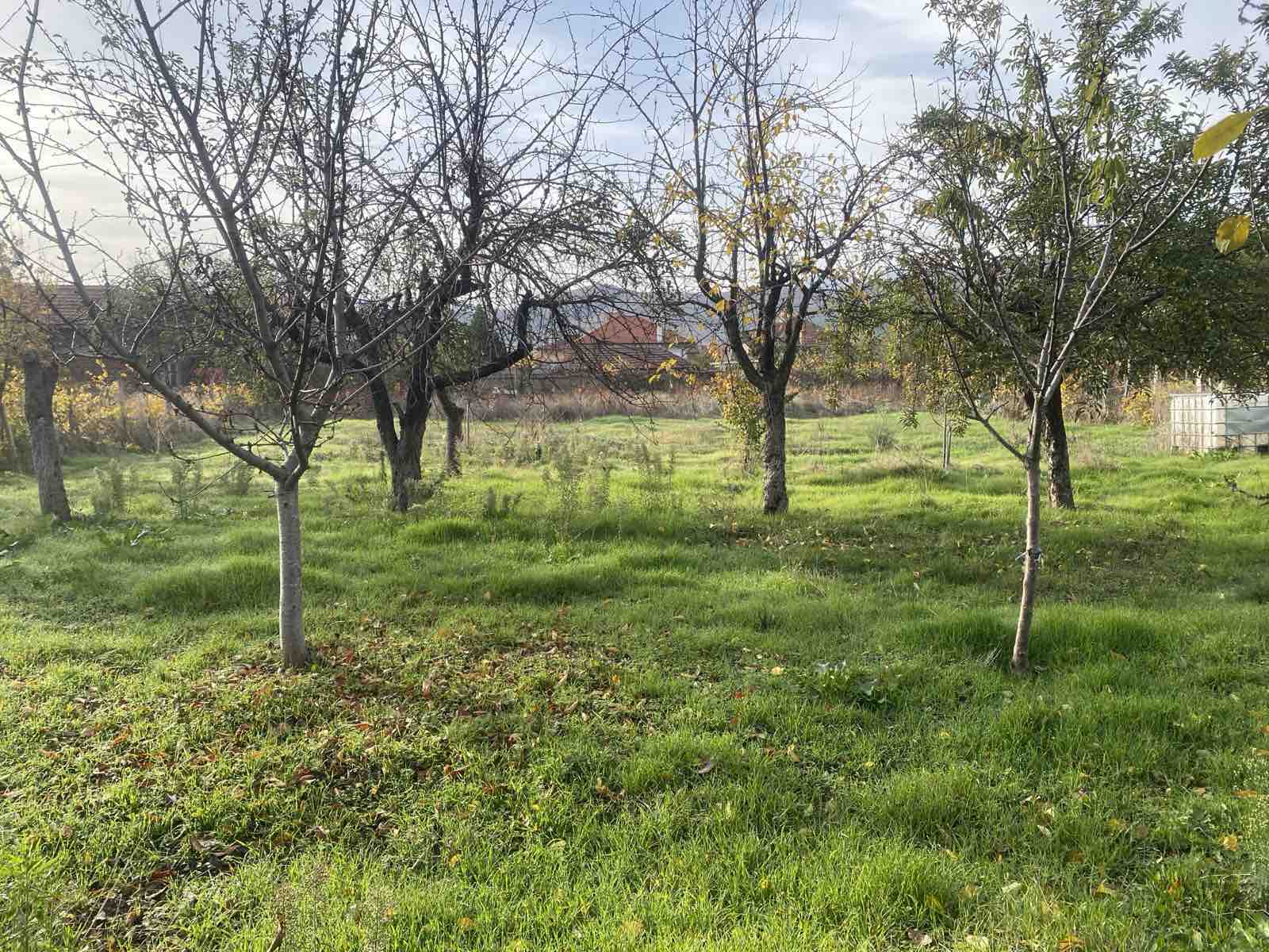 viber_izobrazhenie_2025-11-17_11-51-48-218