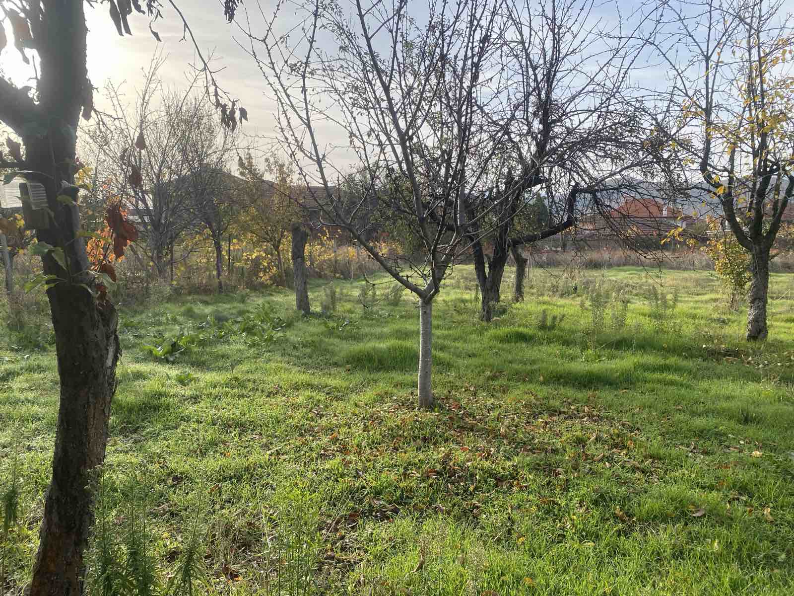 viber_izobrazhenie_2025-11-17_11-51-48-502