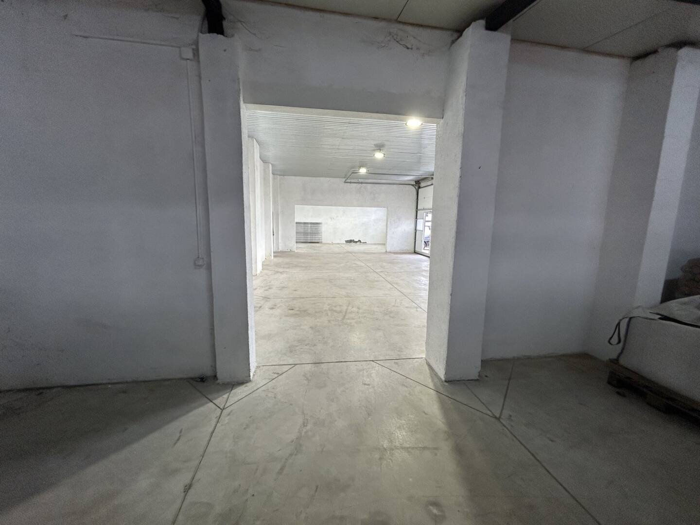 viber_izobrazhenie_2026-01-22_10-52-31-865