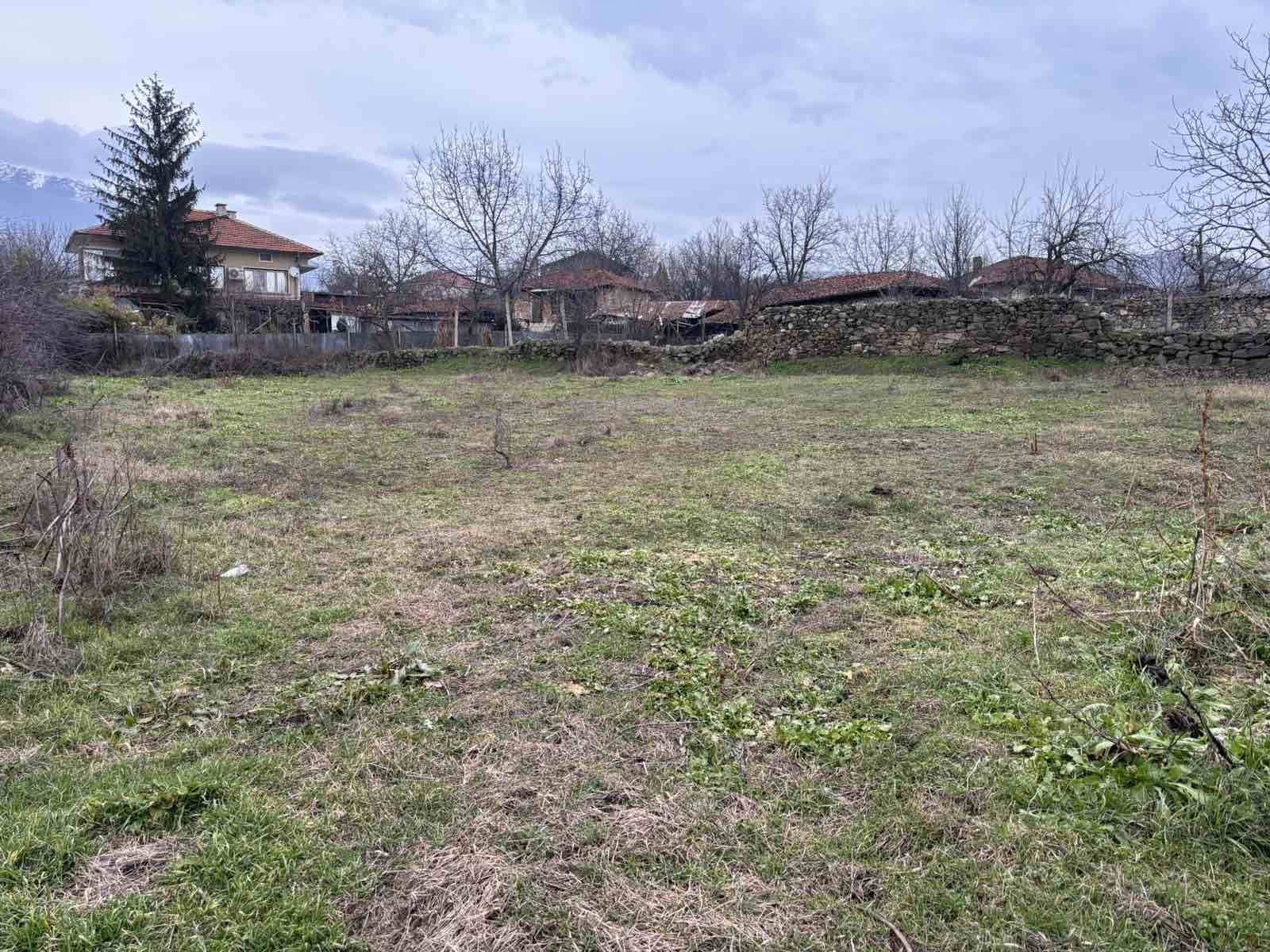 viber_izobrazhenie_2026-01-26_10-01-07-220