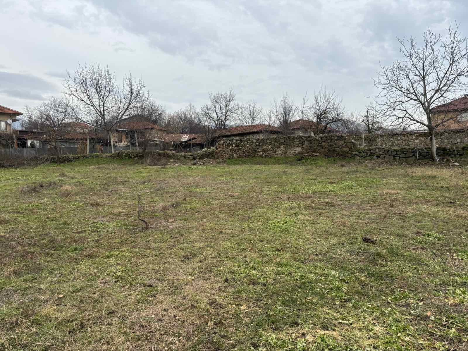 viber_izobrazhenie_2026-01-26_10-01-31-520