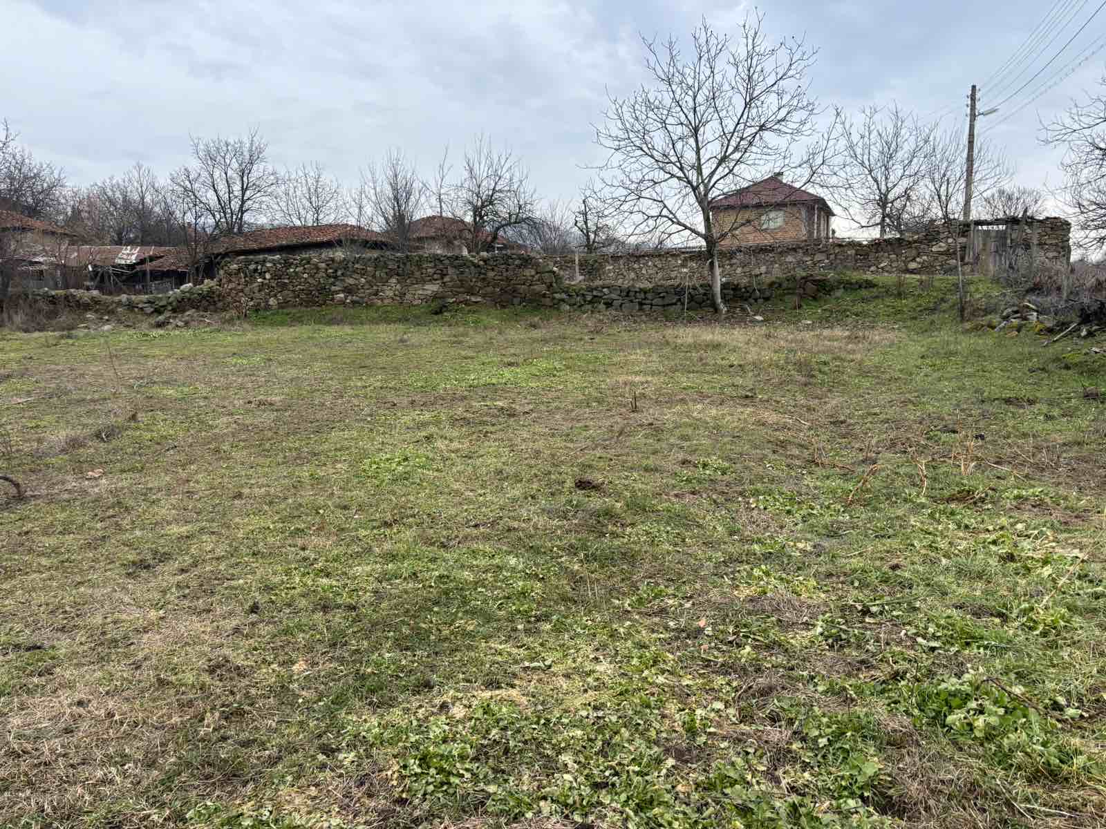 viber_izobrazhenie_2026-01-26_10-01-31-769