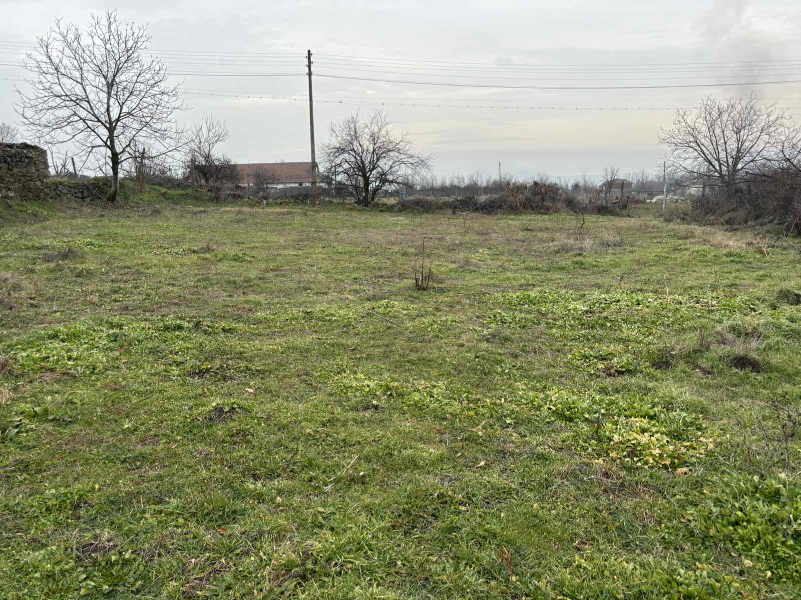 viber_izobrazhenie_2026-01-26_10-01-32-185