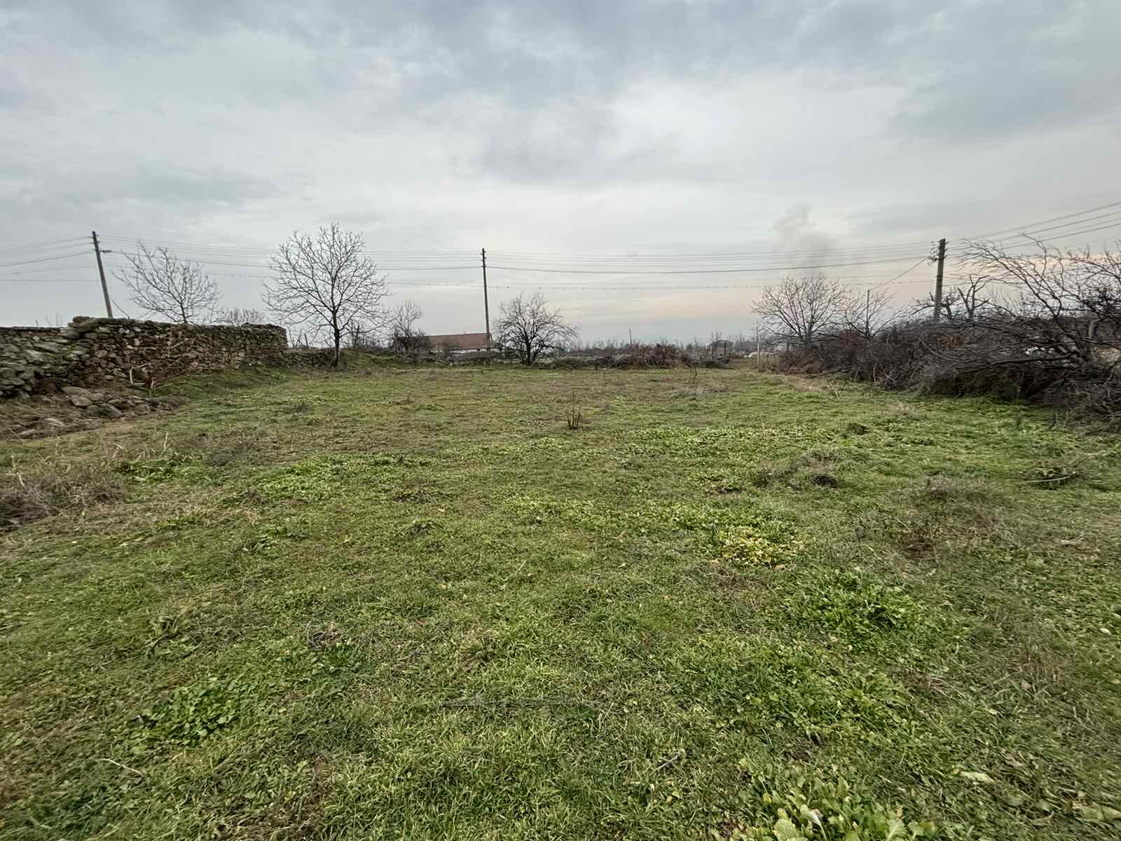 viber_izobrazhenie_2026-01-26_10-01-32-412