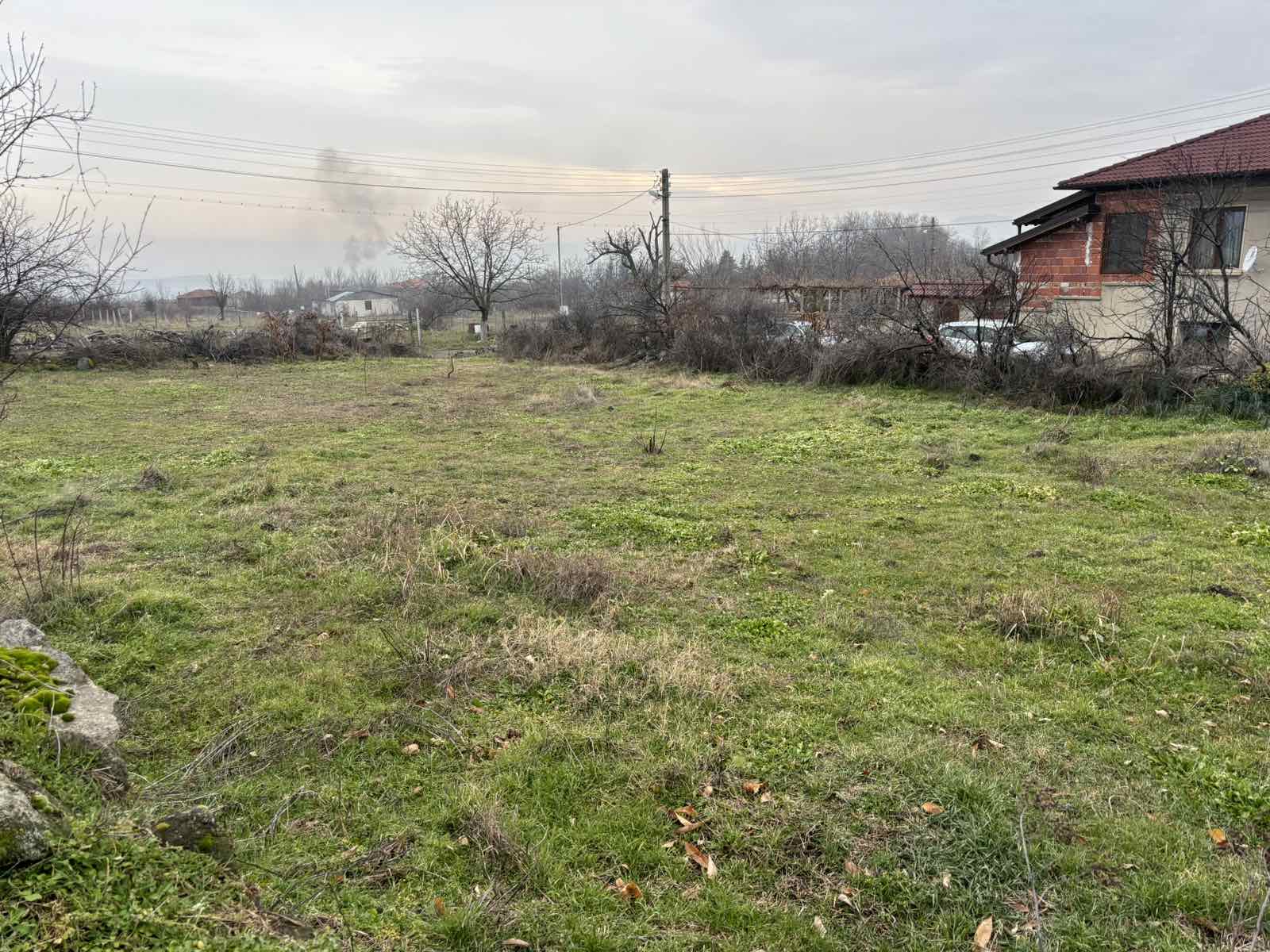 viber_izobrazhenie_2026-01-26_10-01-32-633