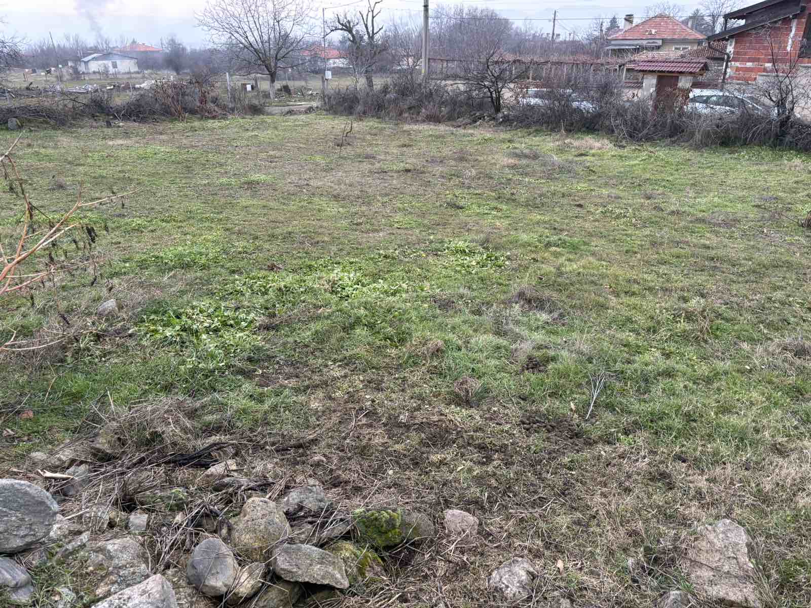 viber_izobrazhenie_2026-01-26_10-01-32-843